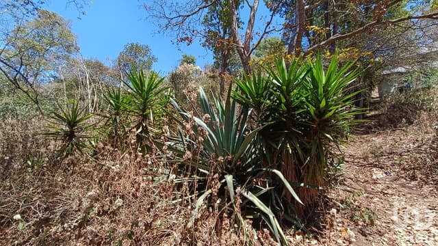 Terreno en venta, Barrio de la Garita, San Cristóbal de las Casas