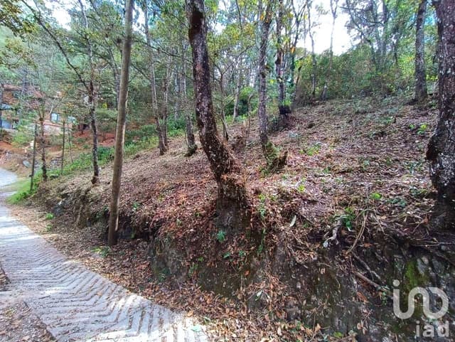 Terreno en Venta, Barrio de San Nicolás, San Cristóbal de la Casas
