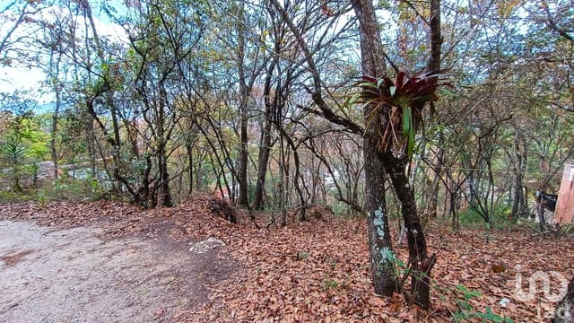 Terreno en Venta, Barrio de San Nicolás, San Cristóbal de la Casas