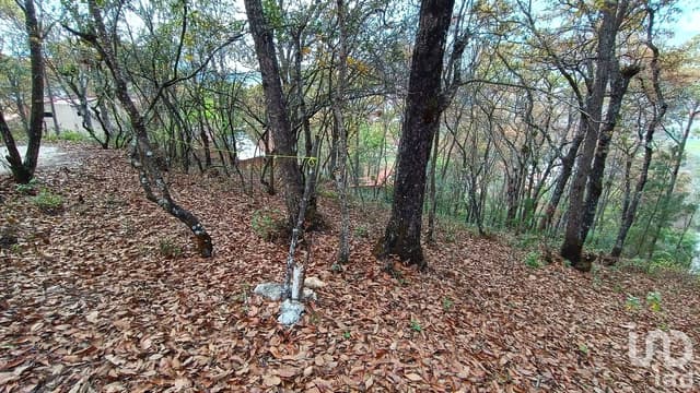 Terreno en Venta, Barrio de San Nicolás, San Cristóbal de la Casas