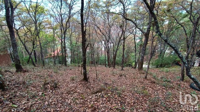 Terreno en Venta, Barrio de San Nicolás, San Cristóbal de la Casas