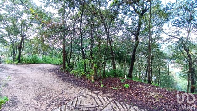 Terreno en Venta, Barrio de San Nicolás, San Cristóbal de la Casas