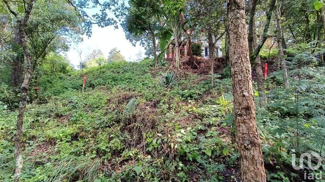 Terreno en Venta en San Nicolás, San Cristóbal de las Casas, Chiapas