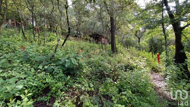 Terreno en Venta en San Nicolás, San Cristóbal de las Casas, Chiapas