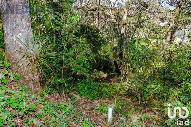 Terreno en Venta en San Nicolás, San Cristóbal de las Casas, Chiapas