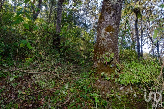 Terreno en Venta con vista San Cristóbal de las Casas, Chiapas