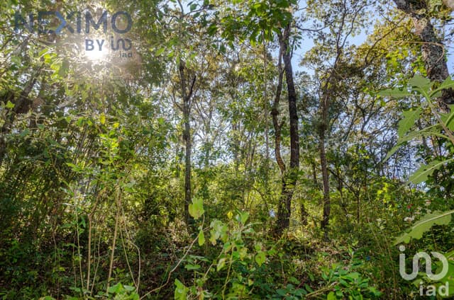 Terreno en Venta con vista San Cristóbal de las Casas, Chiapas