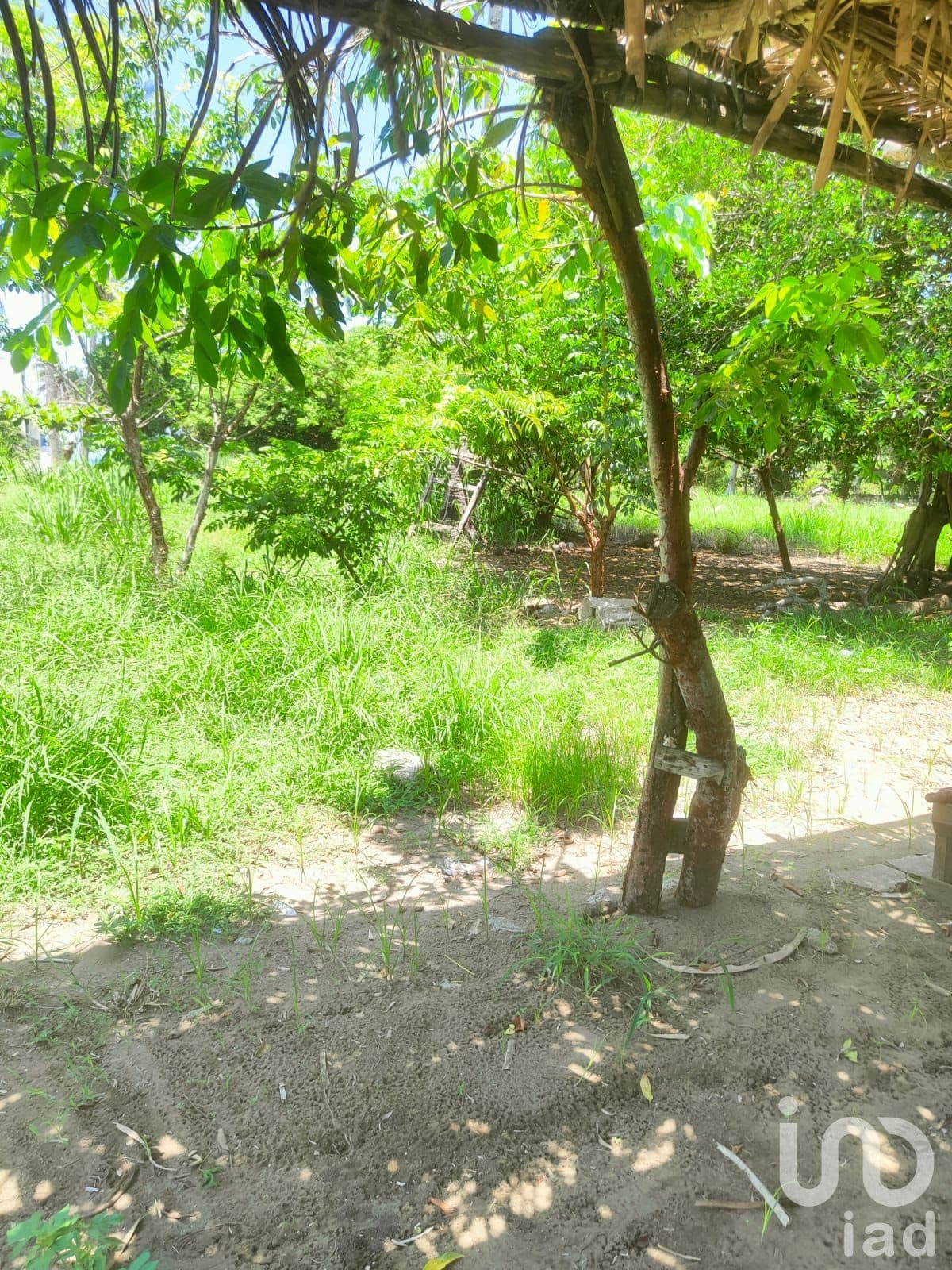Fotos adicionales