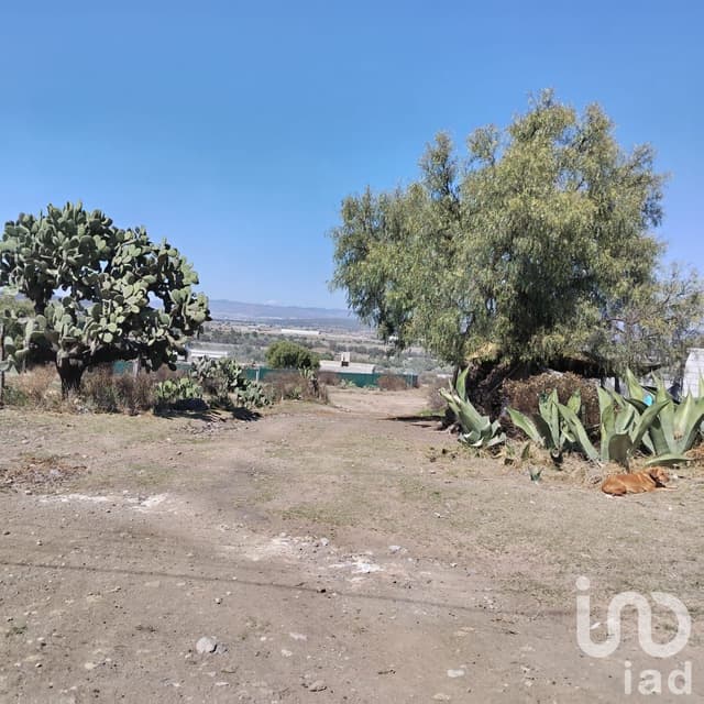 TERRENO EN VENTA ZEMPOALA HIDALGO