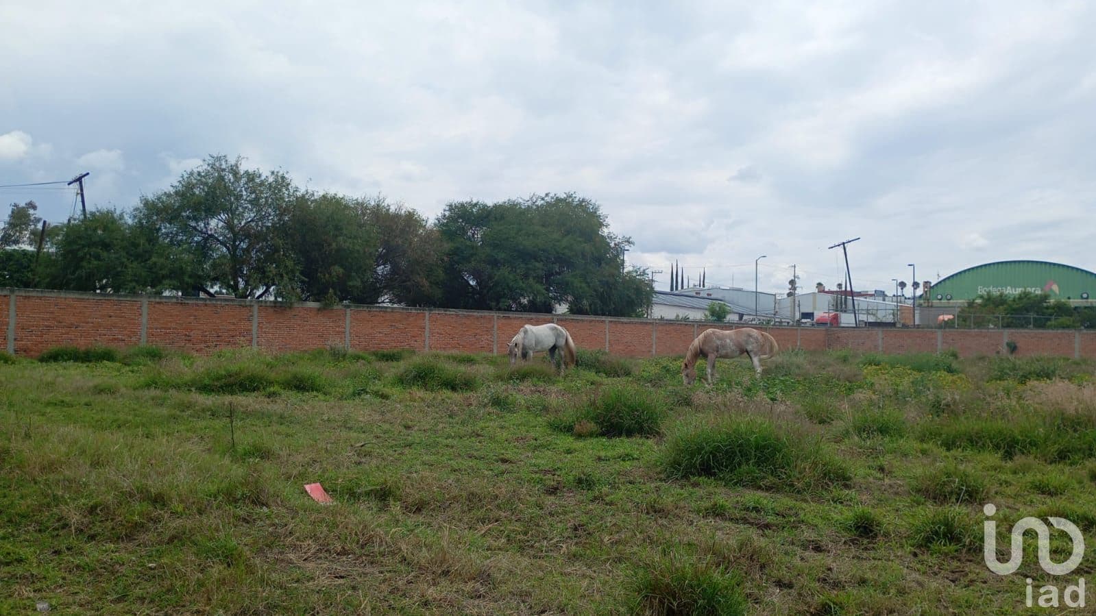 Fotos adicionales
