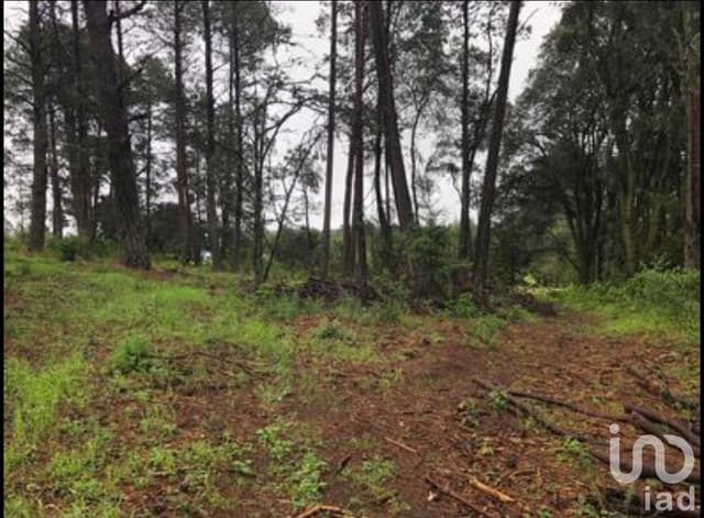 Lote campestre en medio del bosque en Omitlan