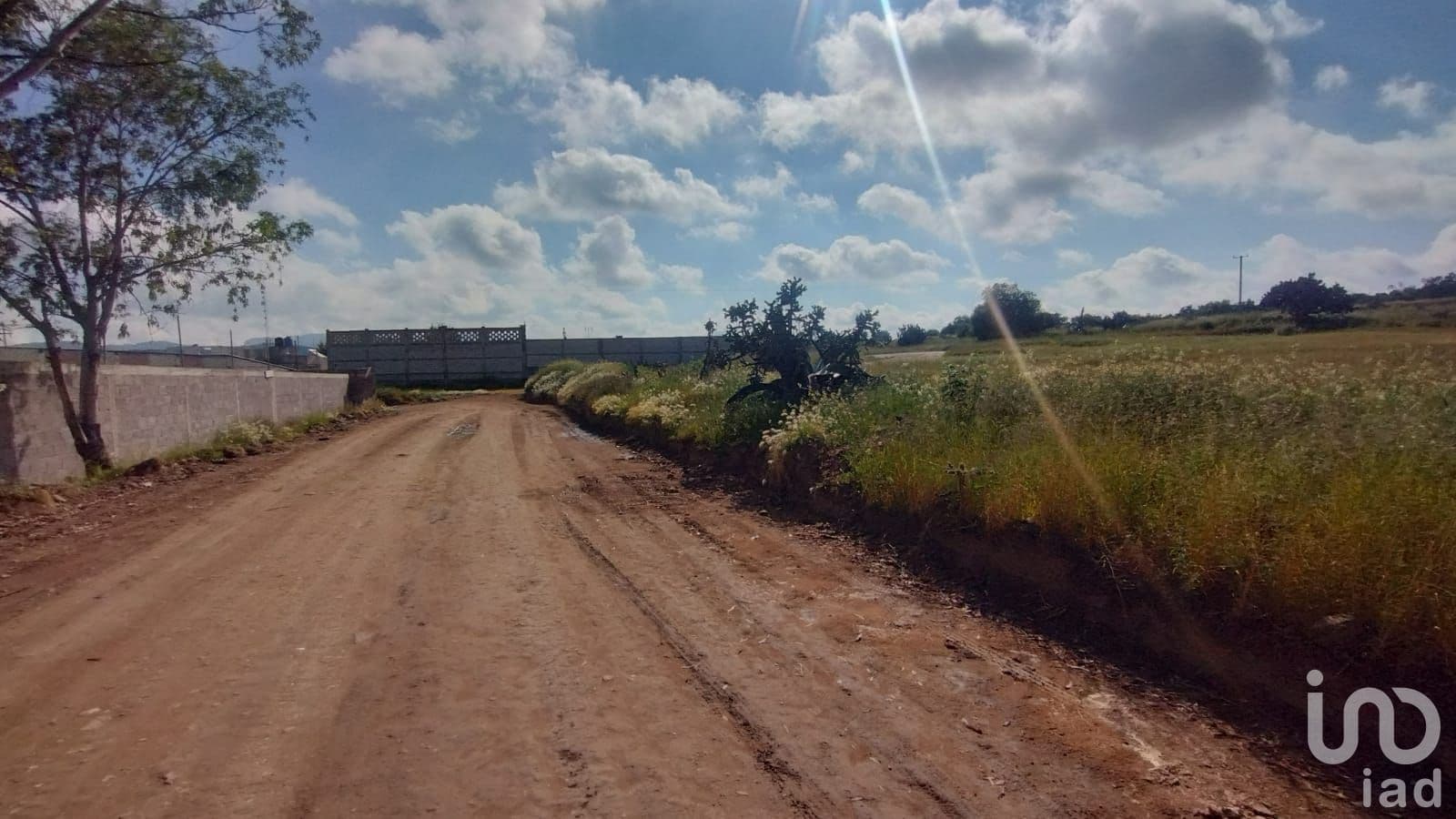 Fotos adicionales