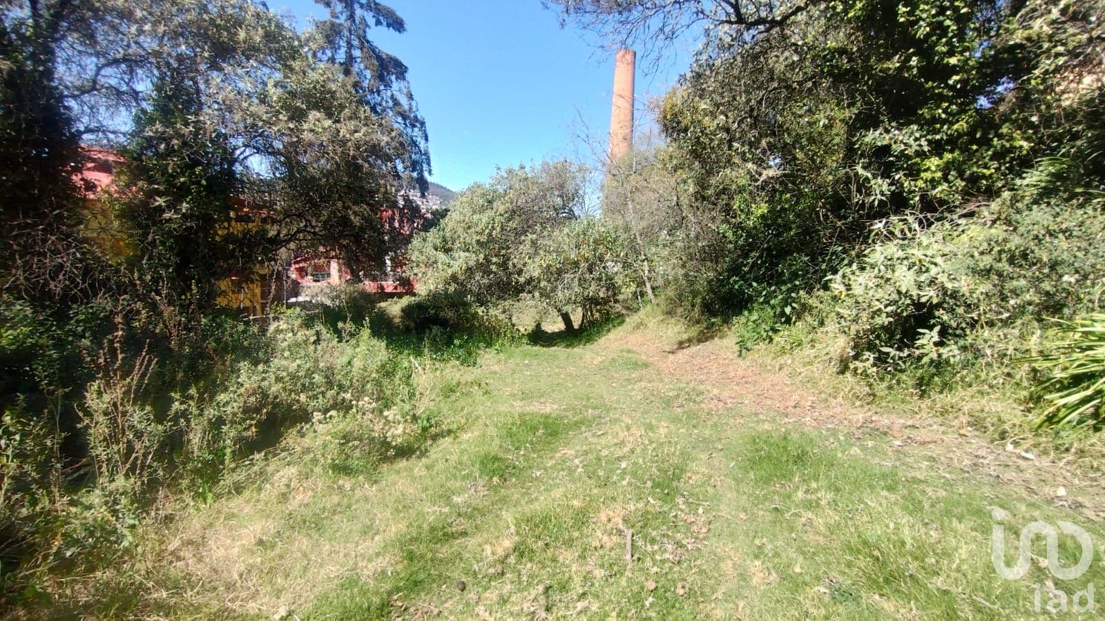 Fotos adicionales