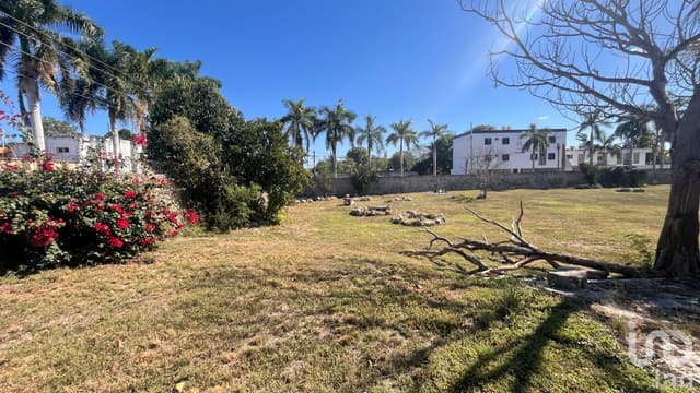TERRENO EN VENTA DENTRO DE LA CIUDAD MERIDA YUCATAN