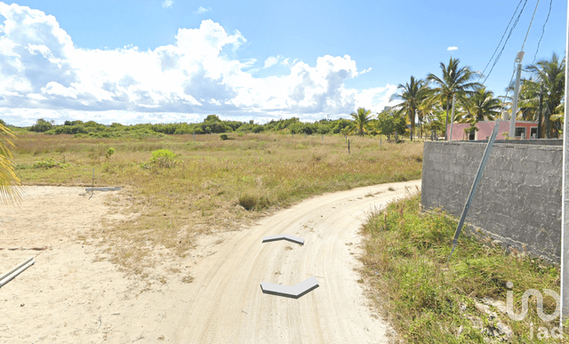 TERRENO EN VENTA CERCA DE LA PLAYA EN CHELEM PROGRESO YUCATAN