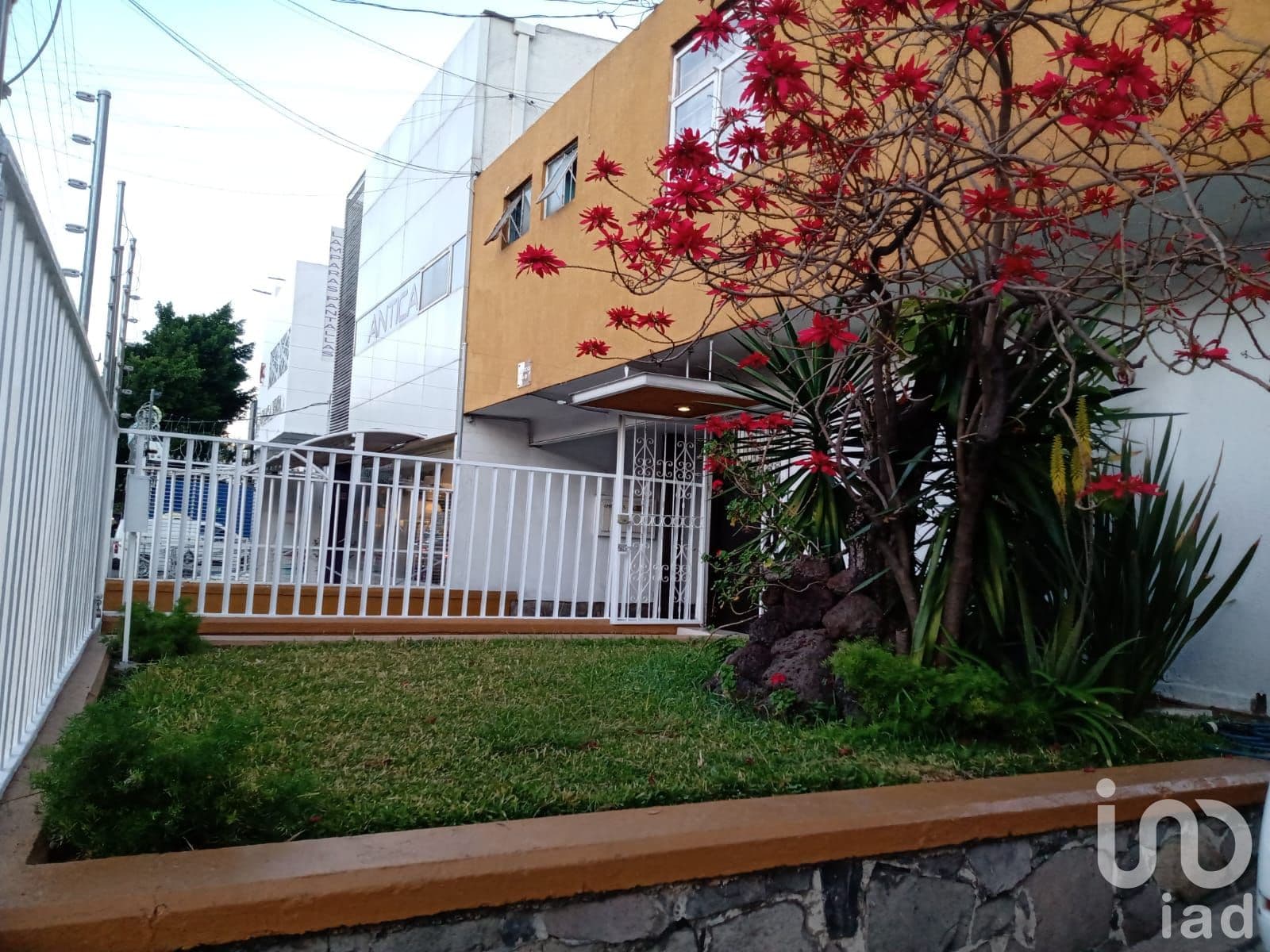 Fotos adicionales