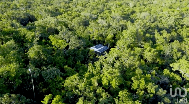 Terreno 8500 m2 cerca de Tulum, eco-responsable + 1956 m2 común