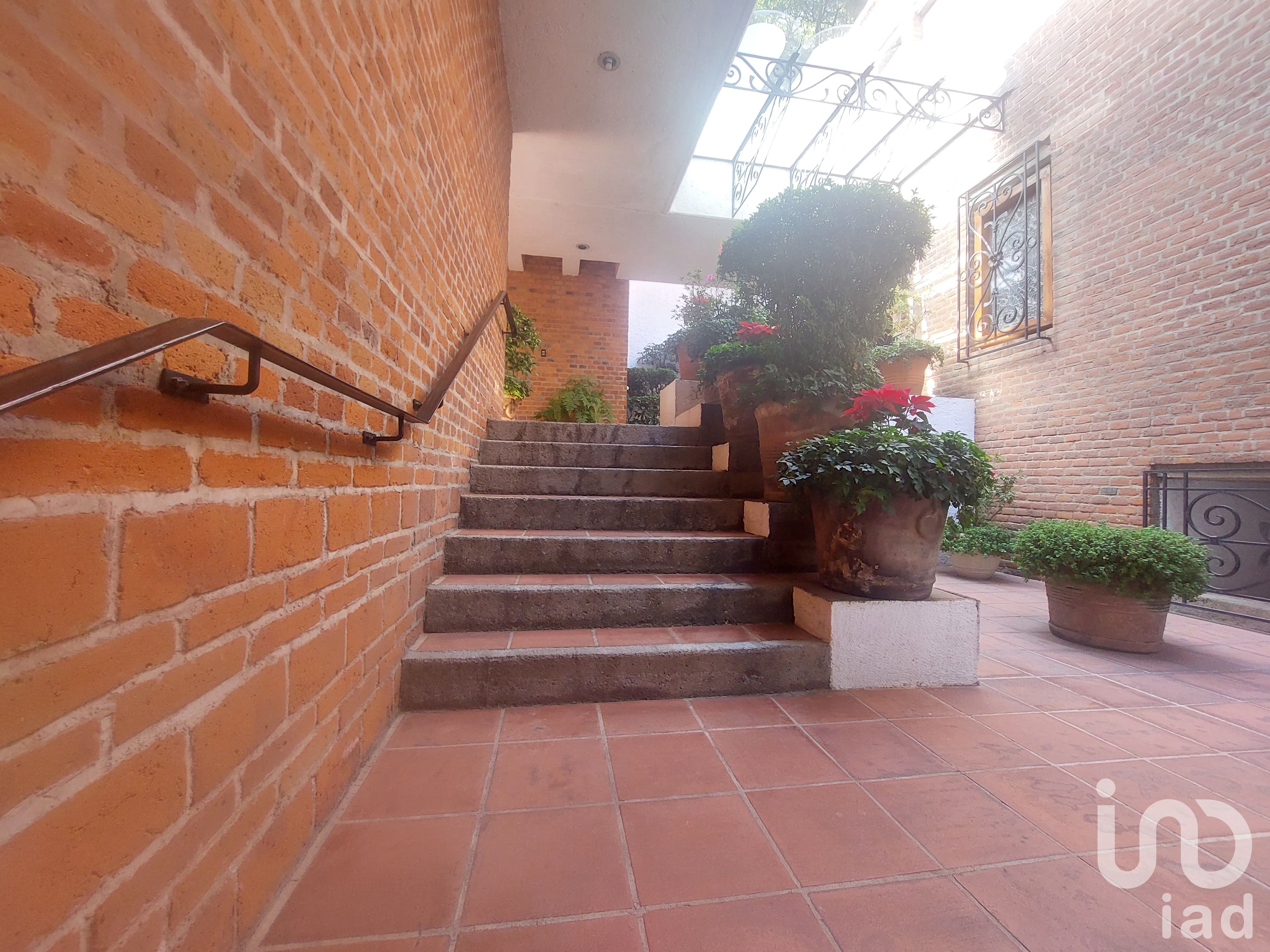 Fotos adicionales