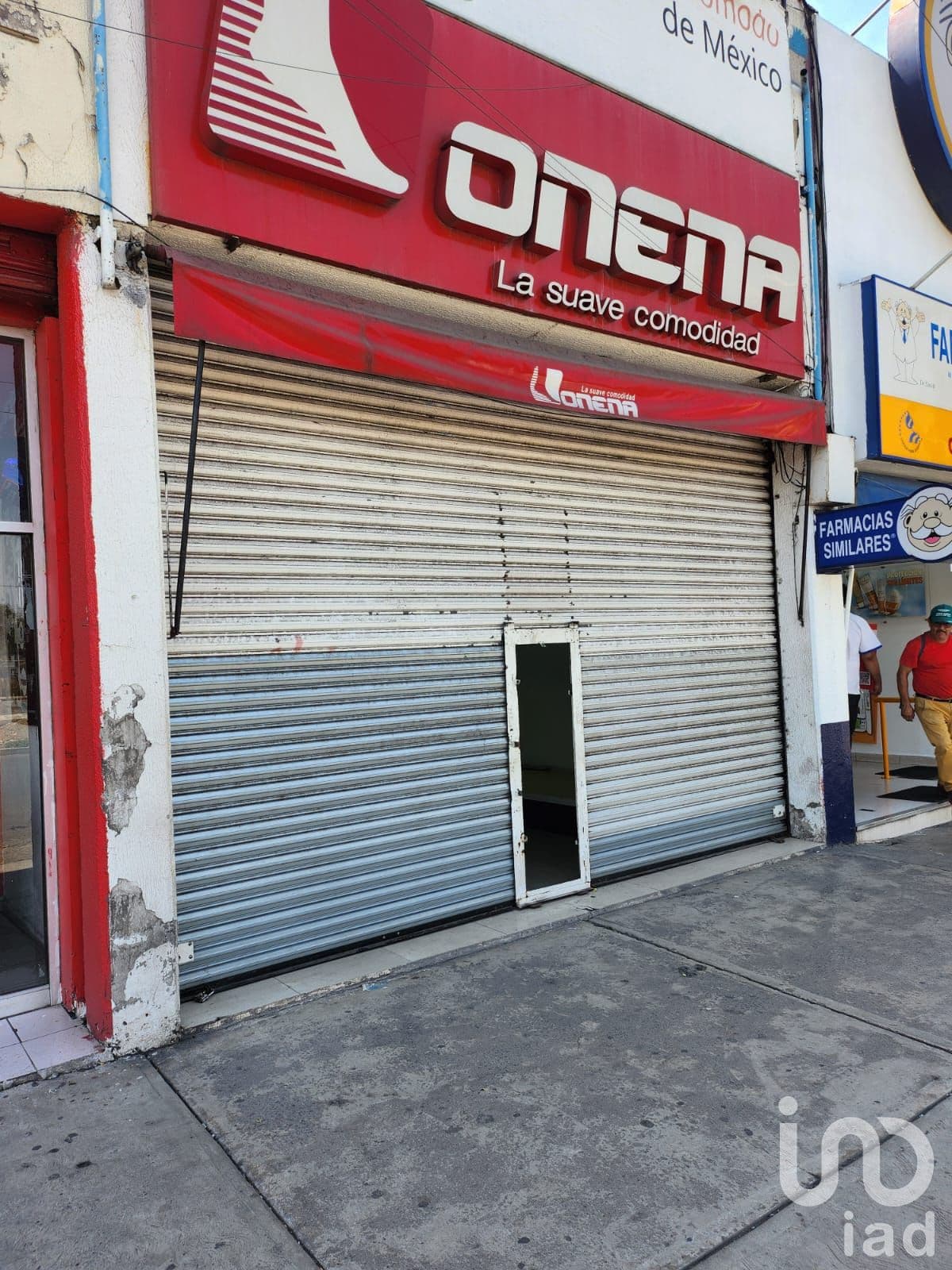 Fotos adicionales