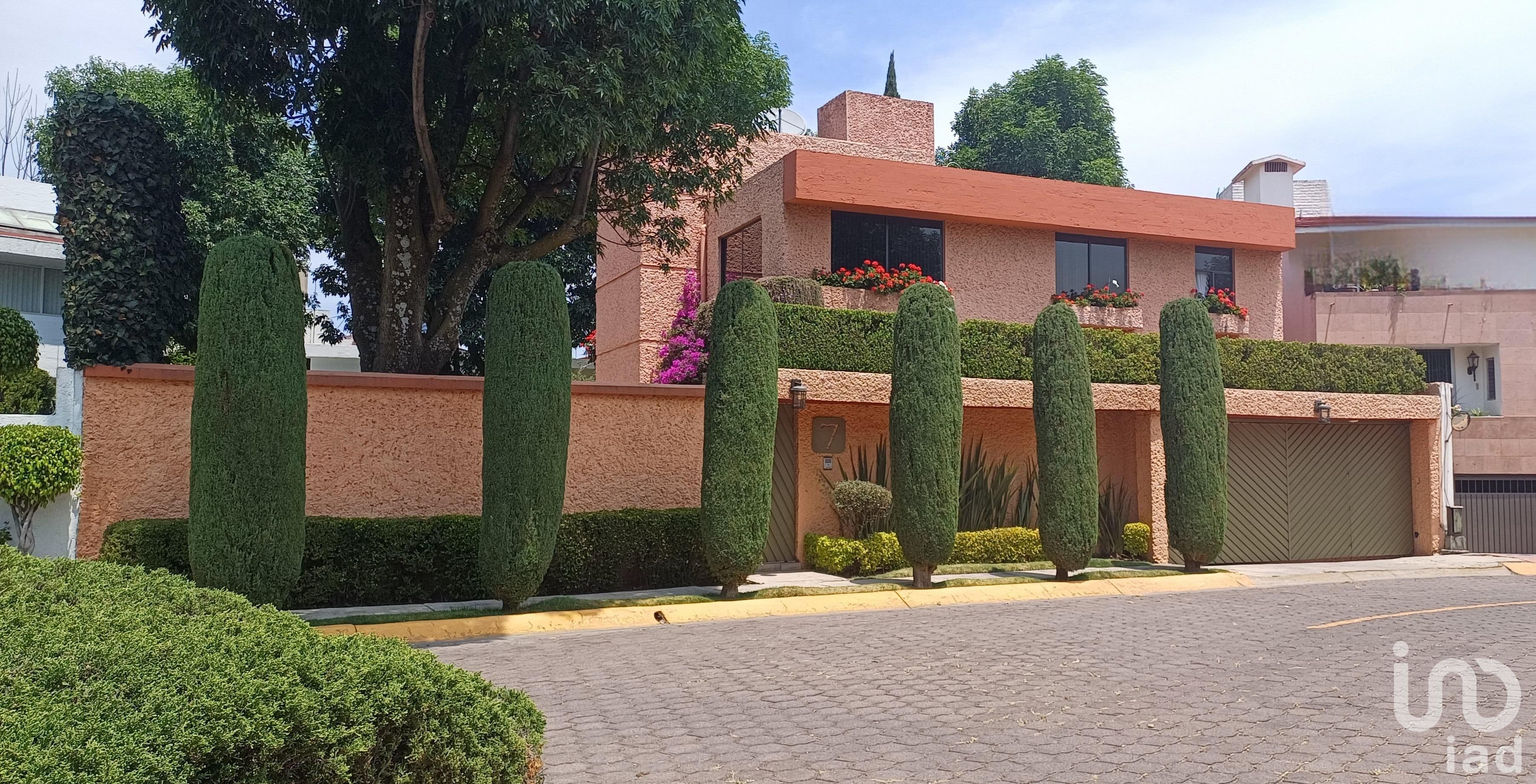 Fotos adicionales