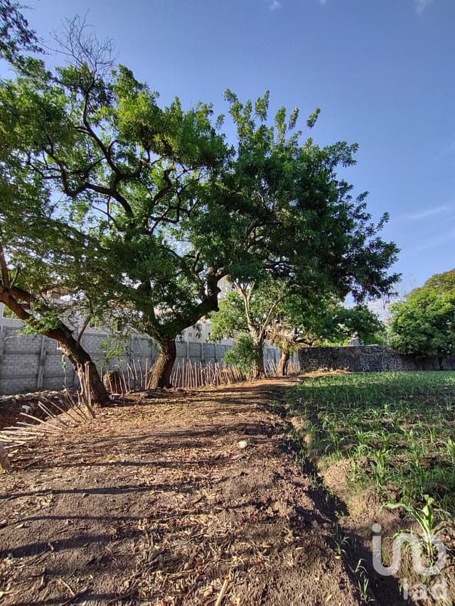 TERRENO EN VENTA CERCA DEL CENTRO DE YAUTEPEC, MORELOS