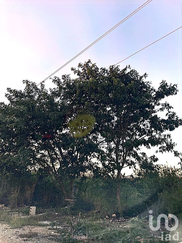 TERRENO EN VENTA EN MÉRIDA EN MISNE BALAM, YUCATÁN