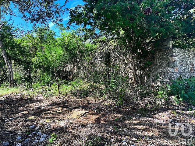 VENTA DE TERRENO EN XMATKUIL EN MERIDA YUCATAN ENFRENTE DE LA FACULTAD DE VETERINARIA