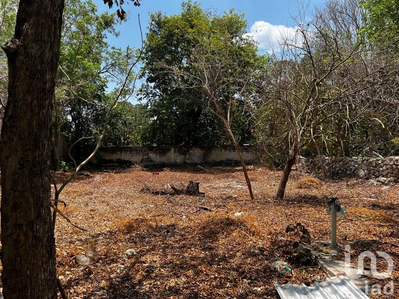Fotos adicionales