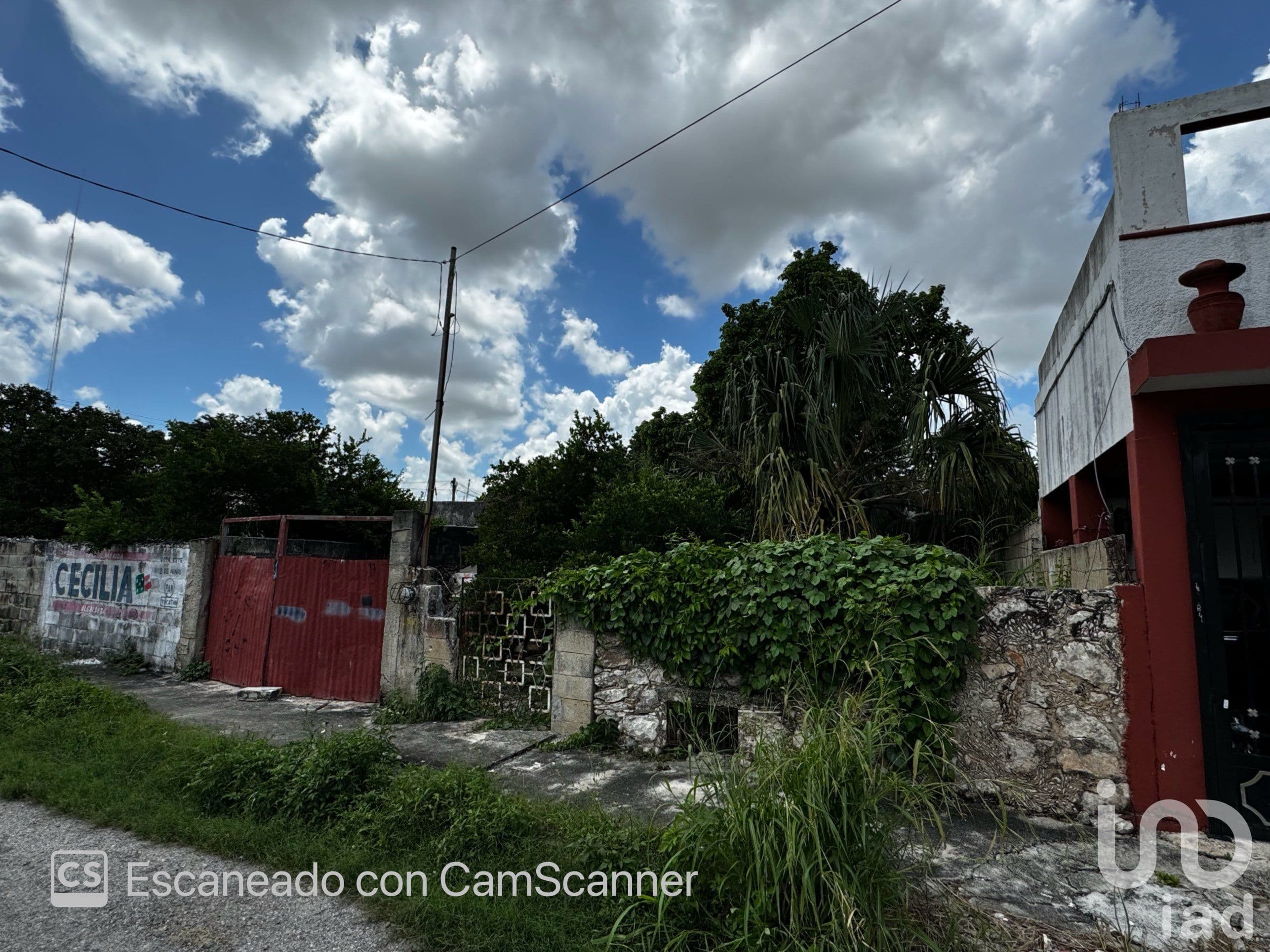 Fotos adicionales