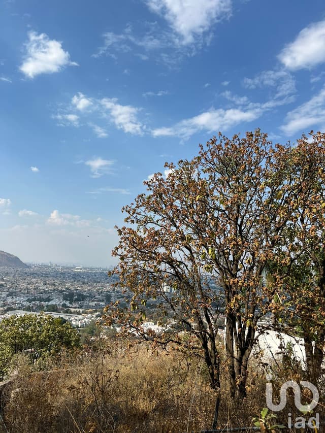 REMATE JUDICIAL DE TERRENO EN CIUDAD BUGAMBILIAS EN ZAPOPAN, JALISCO