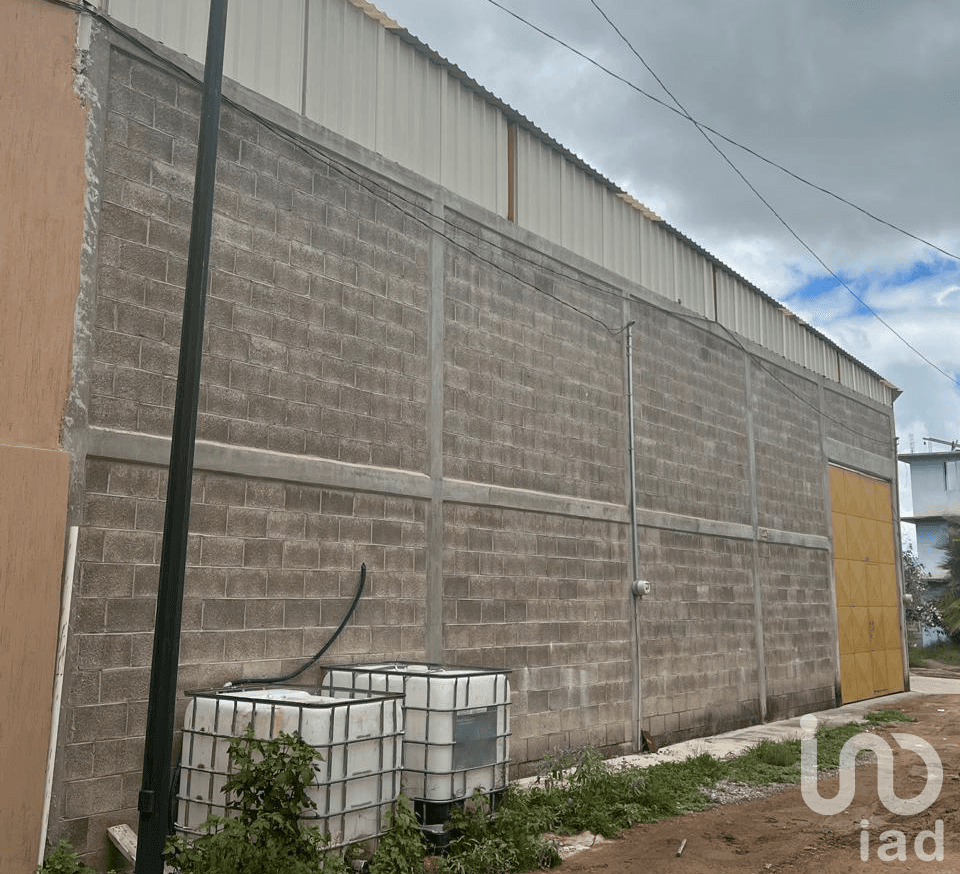 Fotos adicionales