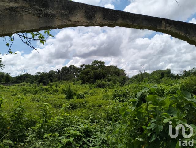 VENTA TERRENO EN MÉRIDA, ZONA CHICHÍ SUÁREZ
