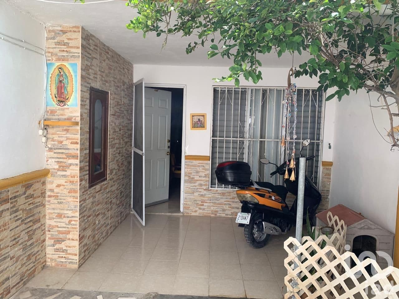 Fotos adicionales