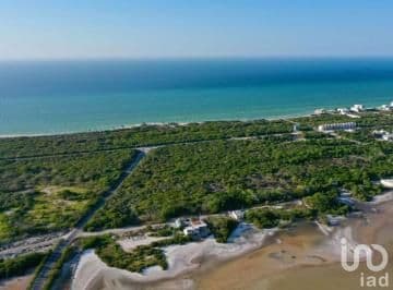 TERRENO EN VENTA EN PLAYA CHUBURNÁ, YUCATÁN, BRUNAH