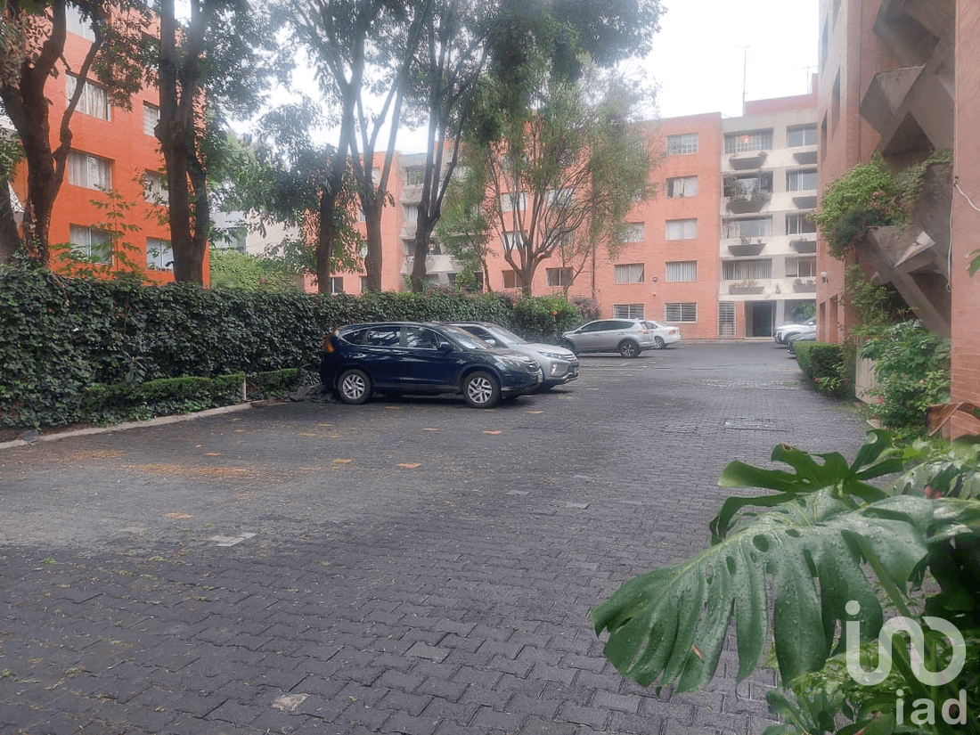 Fotos adicionales