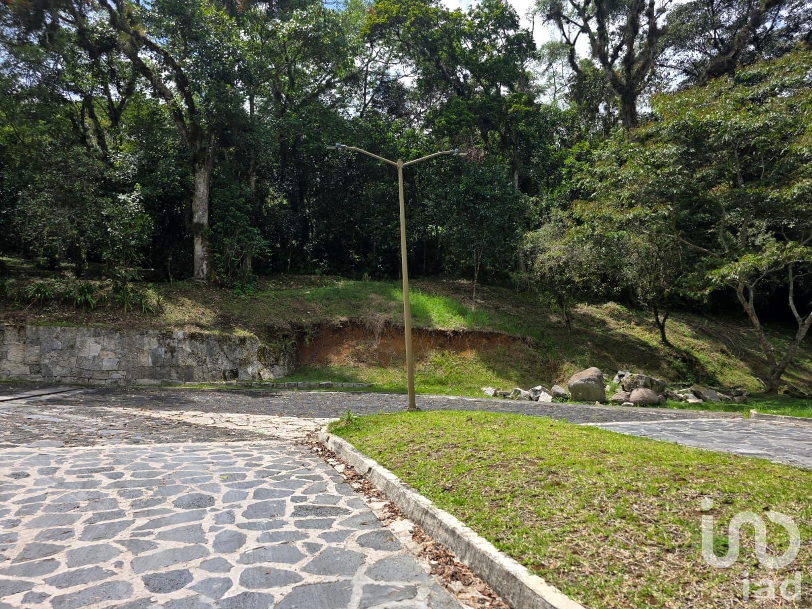 Fotos adicionales