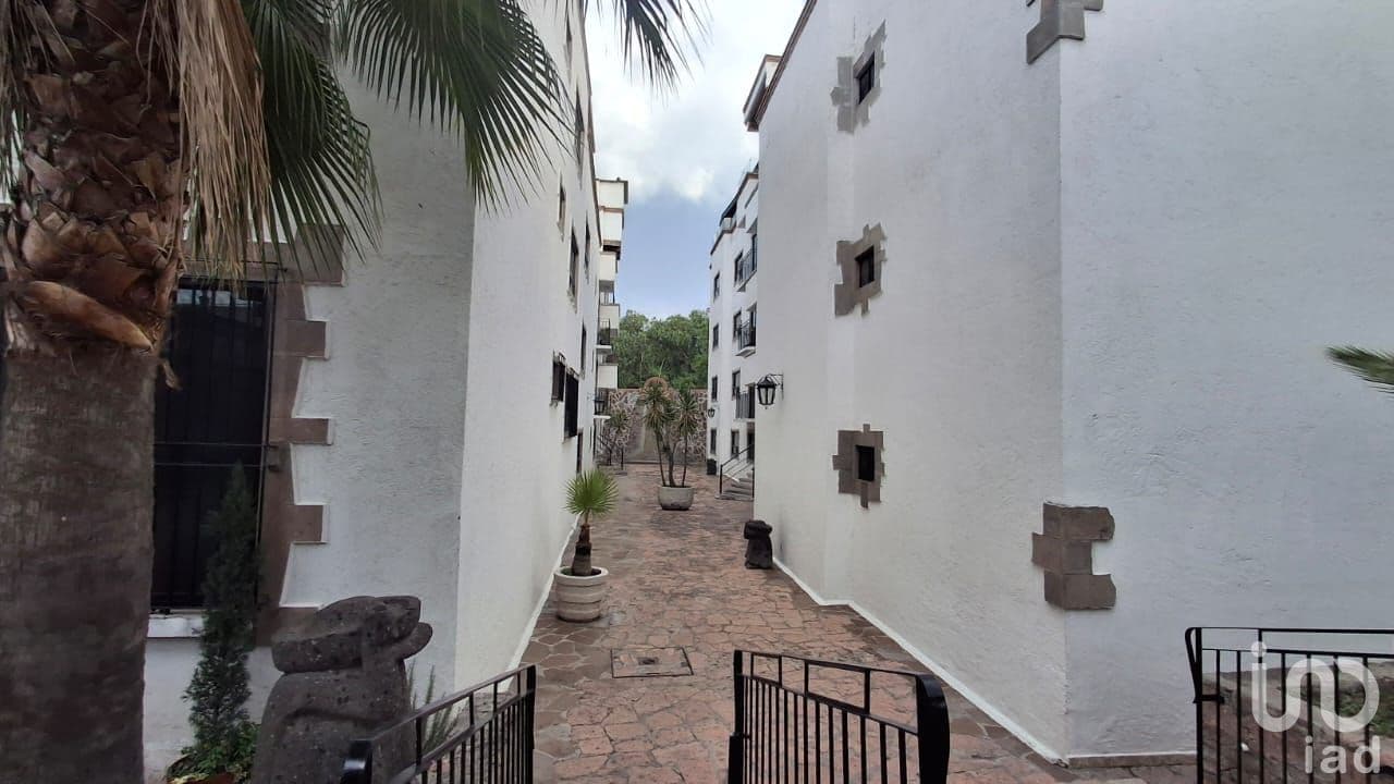 Fotos adicionales