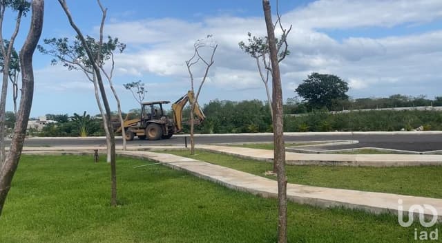 TERRENO EN VENTA EN CAMELIA RESIDENCIAL SITPACH MÉRIDA