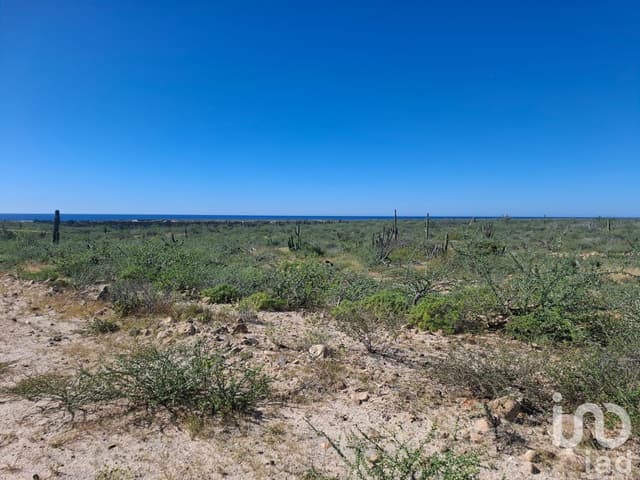 TERRENO RÚSTICO CAMPESTRE 10,000M2 EN AGUA BLANCA LA PAZ BAJA CALIFORNIA SUR