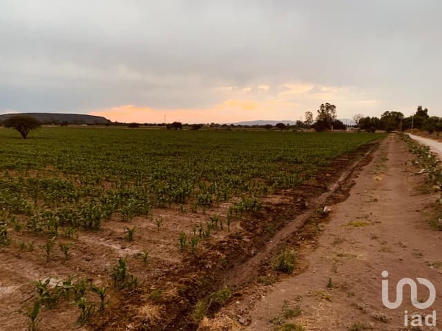 TERRENO EN VENTA A 20 MIN. DE MINERAL DE POZOS GUANAJUATO