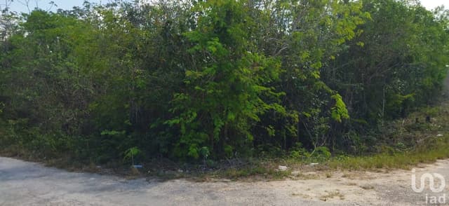 TERRENO EN VENTA SOBRE AVENIDA ENTRANDO POR AV. HUAYACAN