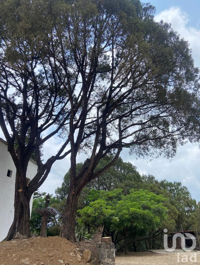 (PREVENTA) EN LA HERRADURA, CUERNAVACA