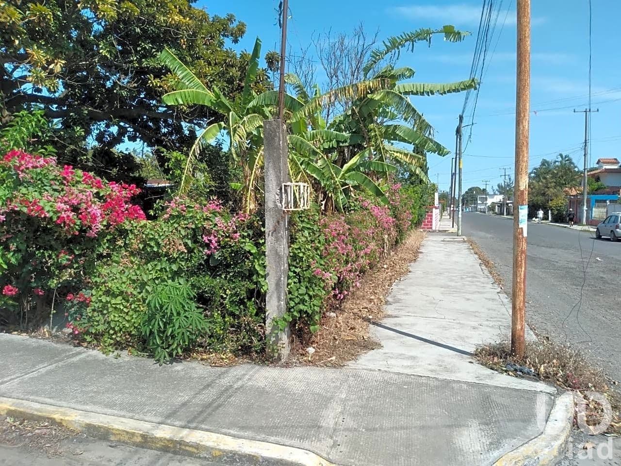 Fotos adicionales