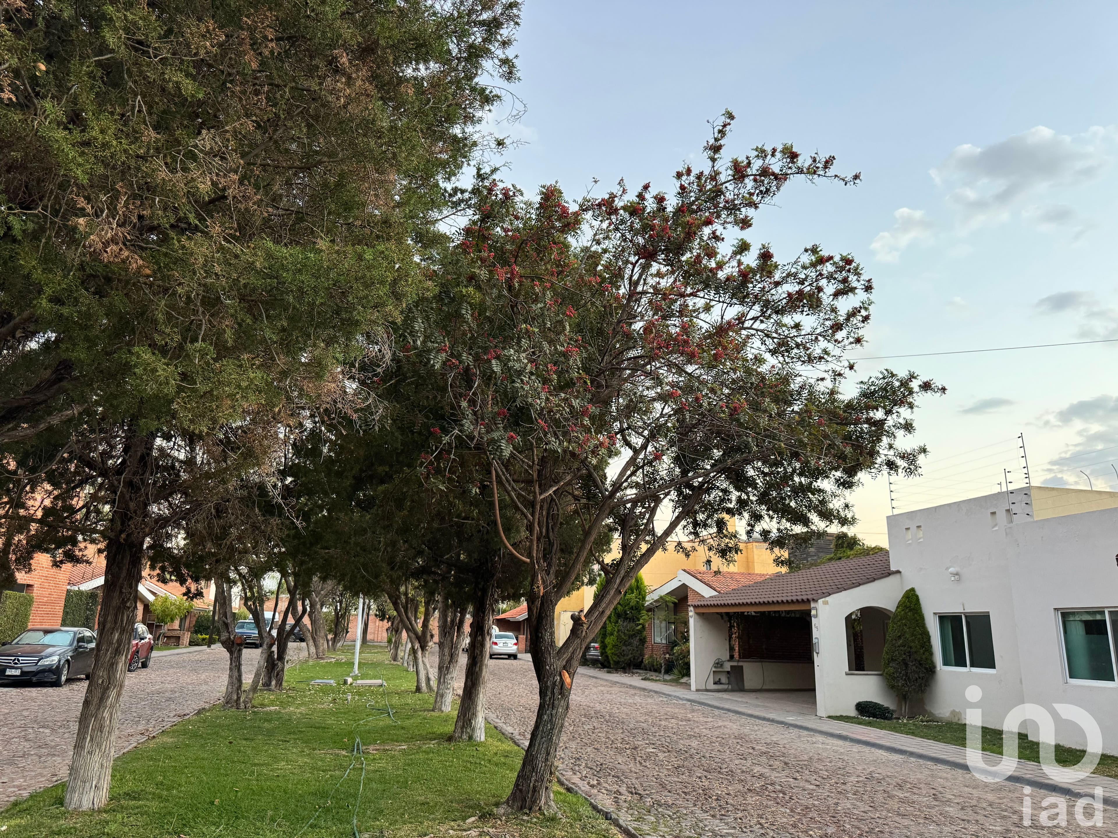 Fotos adicionales