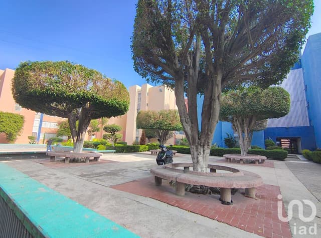 Departamento en renta La Escalera Lindavista Gustavo A Madero CDMX