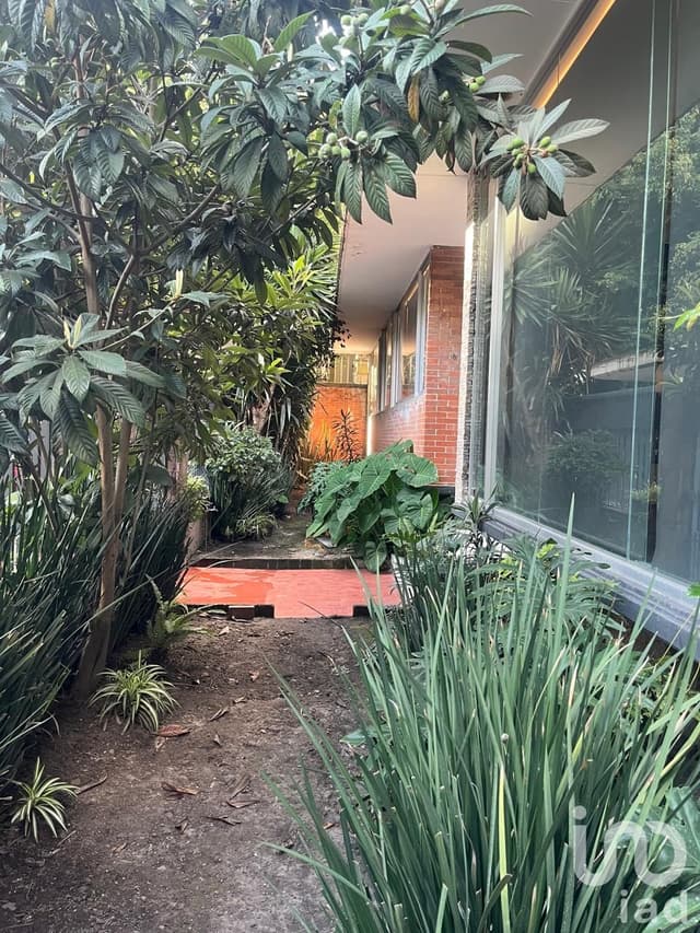 LOCAL COMERCIAL EN RENTA (CASA EN PLANTA BAJA) EN COL. ANZÚRES