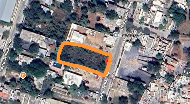 Fotos adicionales