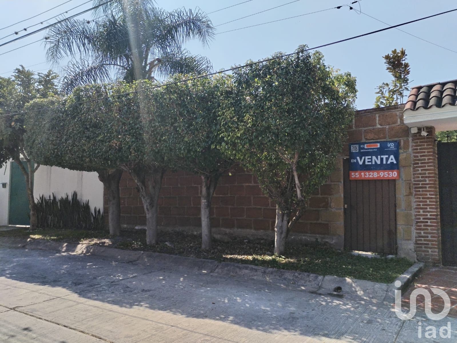 Fotos adicionales