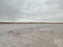 TERRENO EN VENTA 19 HECTAREAS