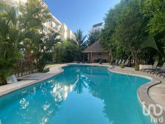 Fotos adicionales